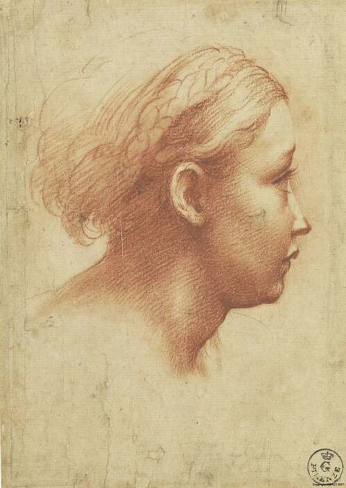 Parmigianino (Francesco Mazzola).jpg